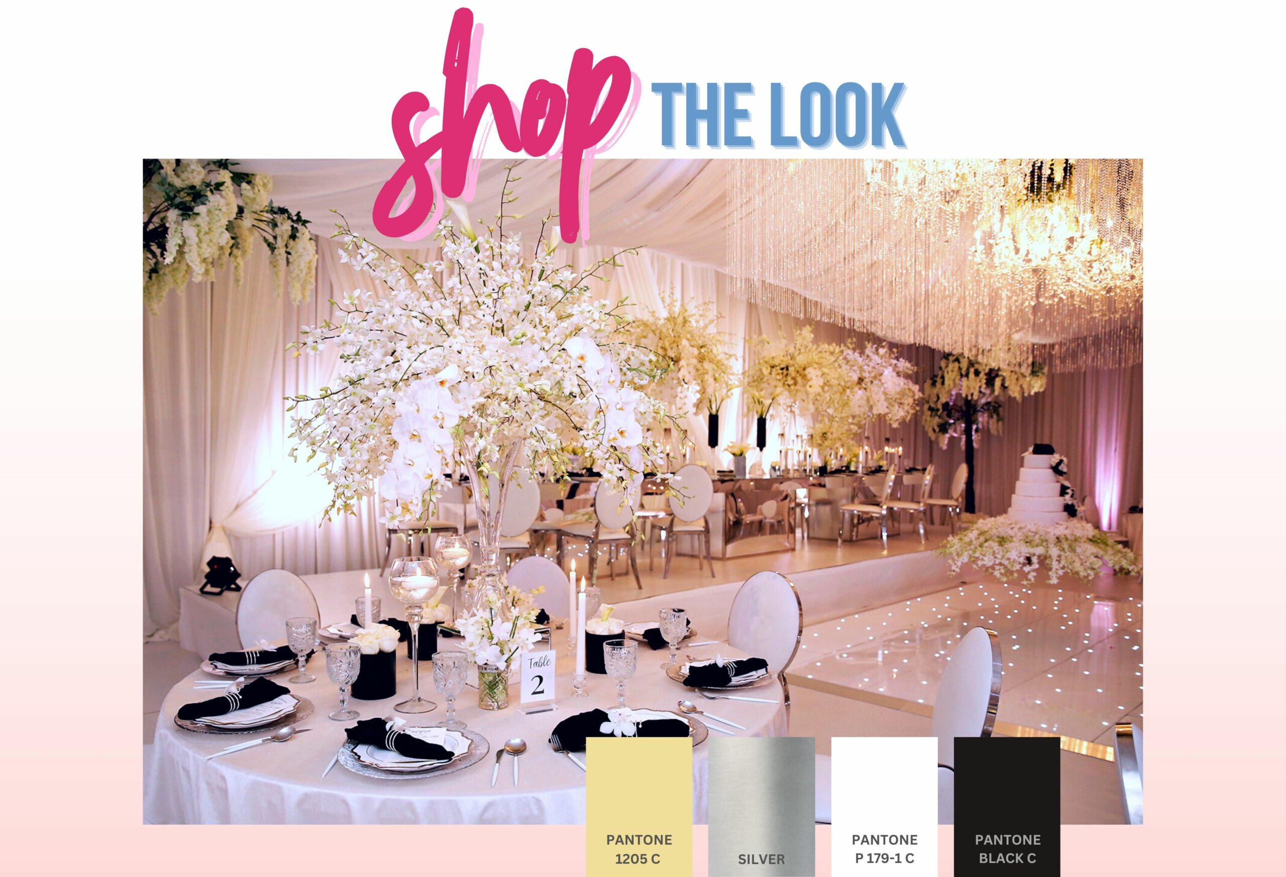 Shop The Look
